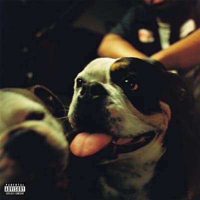 BULLDAWG cover